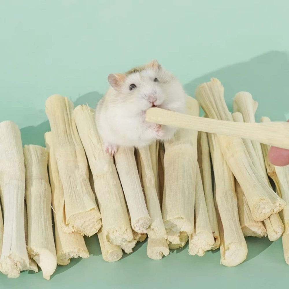 XLpeixin cage-chew session: safe, enjoyable snack for small pets.