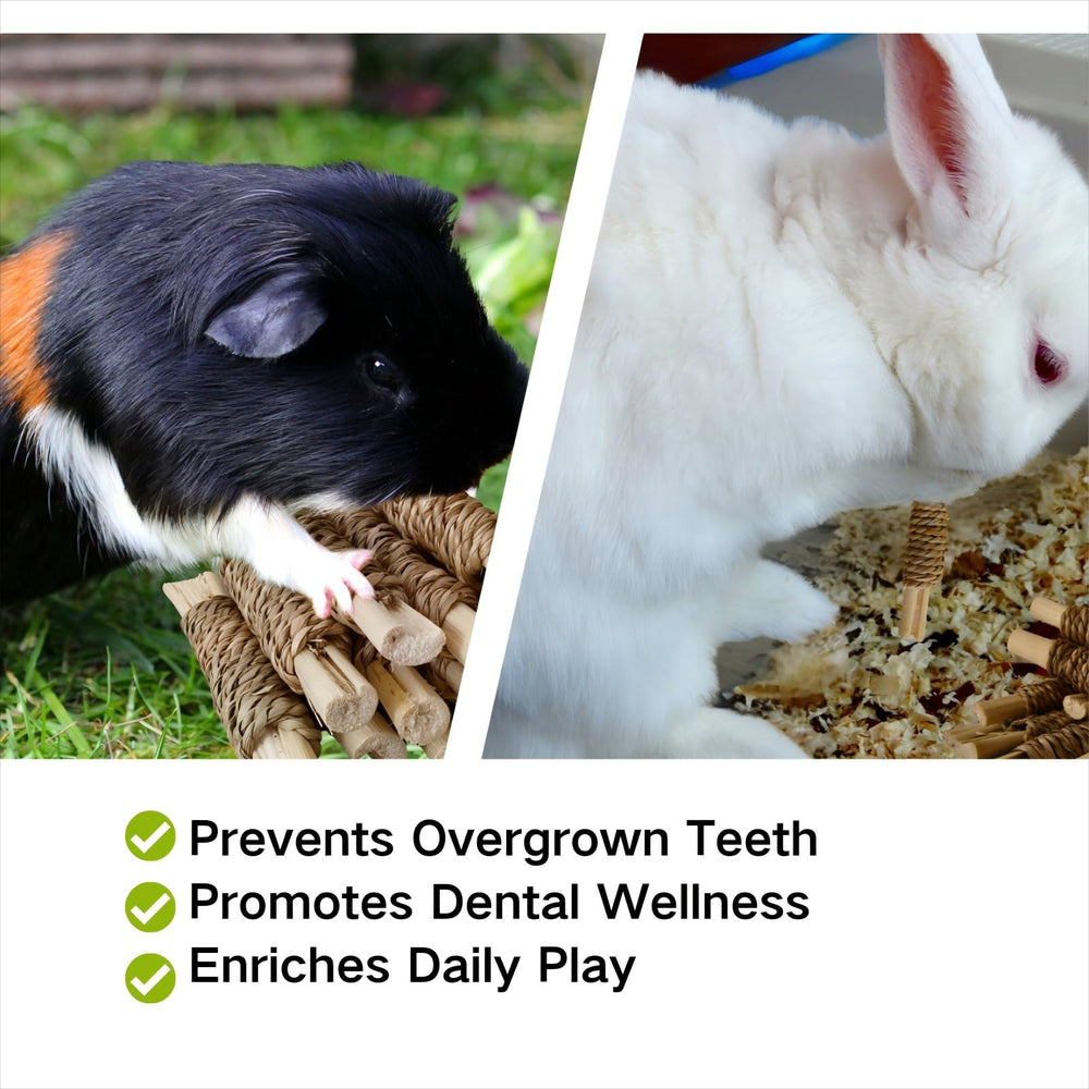 XLpeixin chinchilla dental-friendly sticks highlight plant fibers for teeth wear.