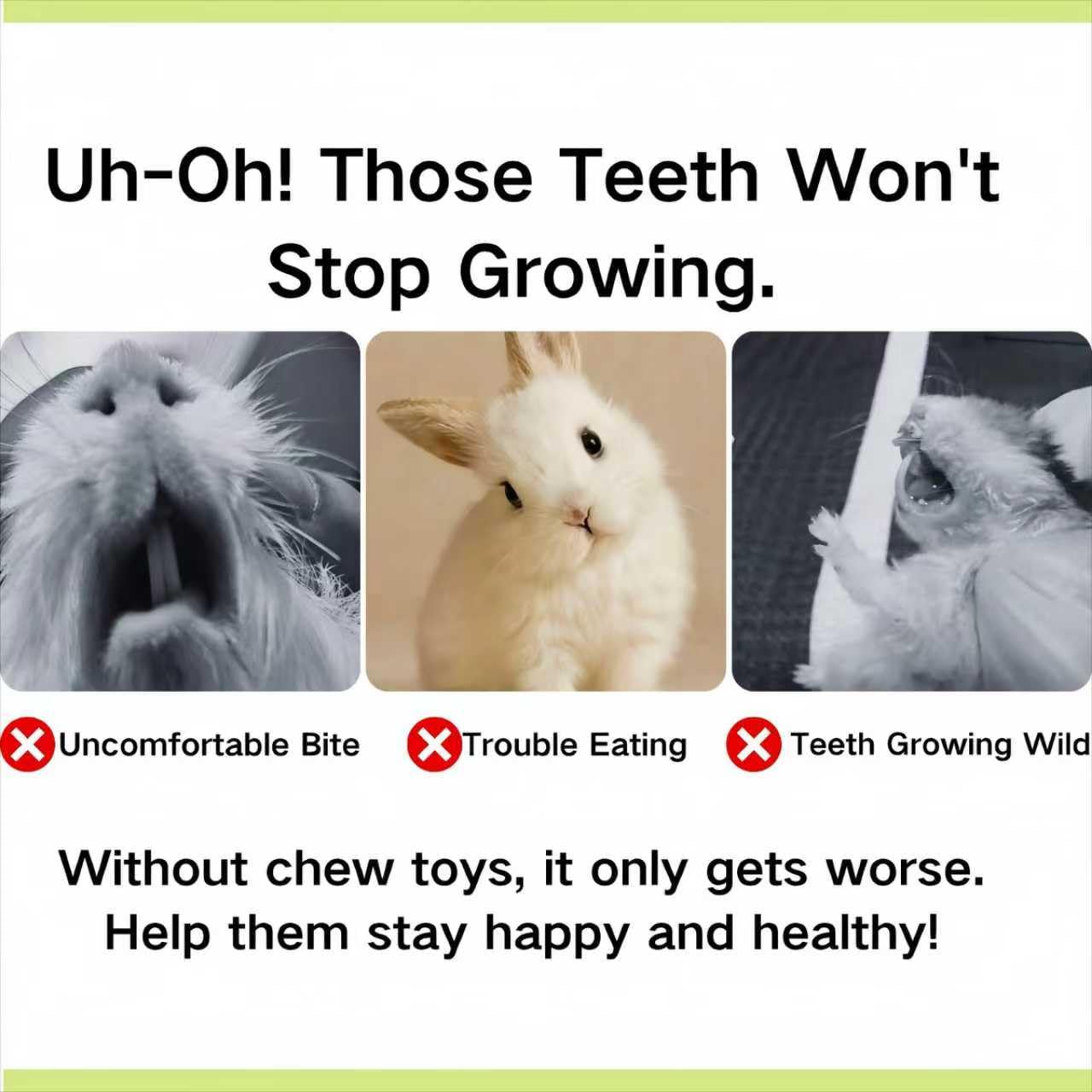 XLpeixin pet rodent chew toy set supports cage-time enrichment and snacking routines.