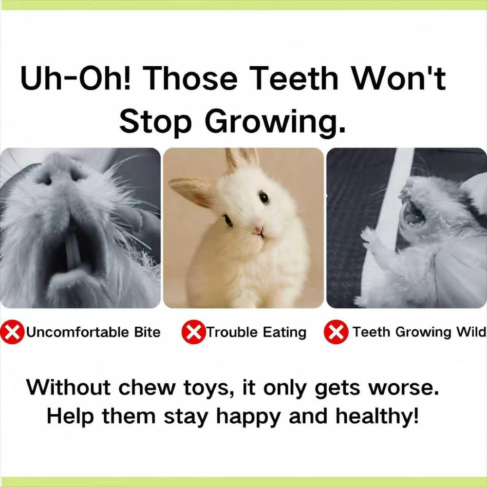 XLpeixin pet rodent chew toy set supports cage-time enrichment and snacking routines.