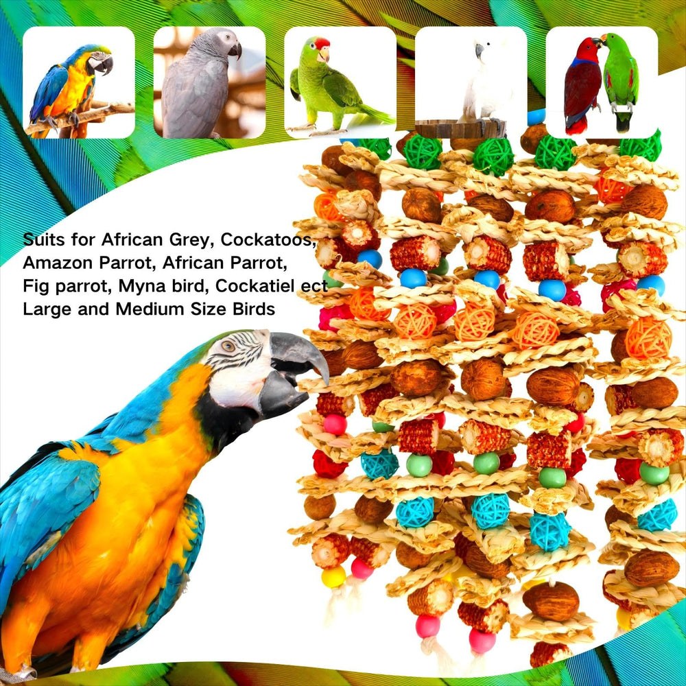 XLpeixin safety-buckle-lock-toy demonstrates durable hanging against strong parrot bites.