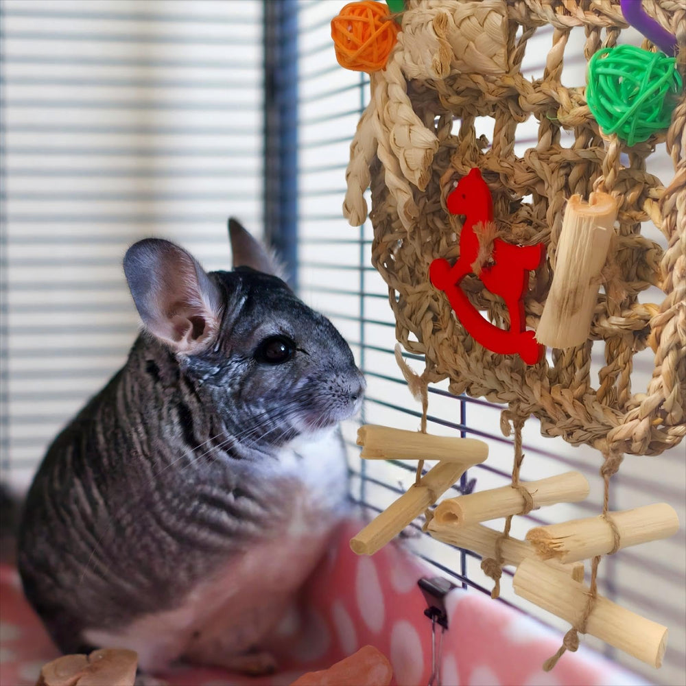 XLpeixin small animal foraging toy—encourages mental stimulation and physical activity.