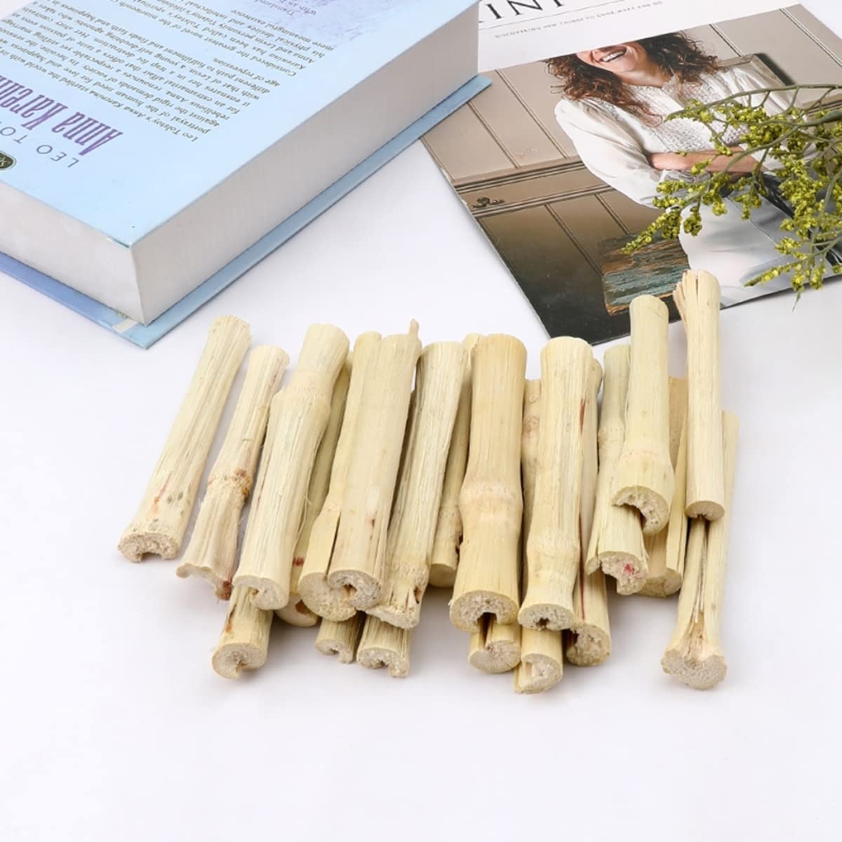XLpeixin variety chew sticks: suitable for rabbits, guinea pigs, chinchillas.