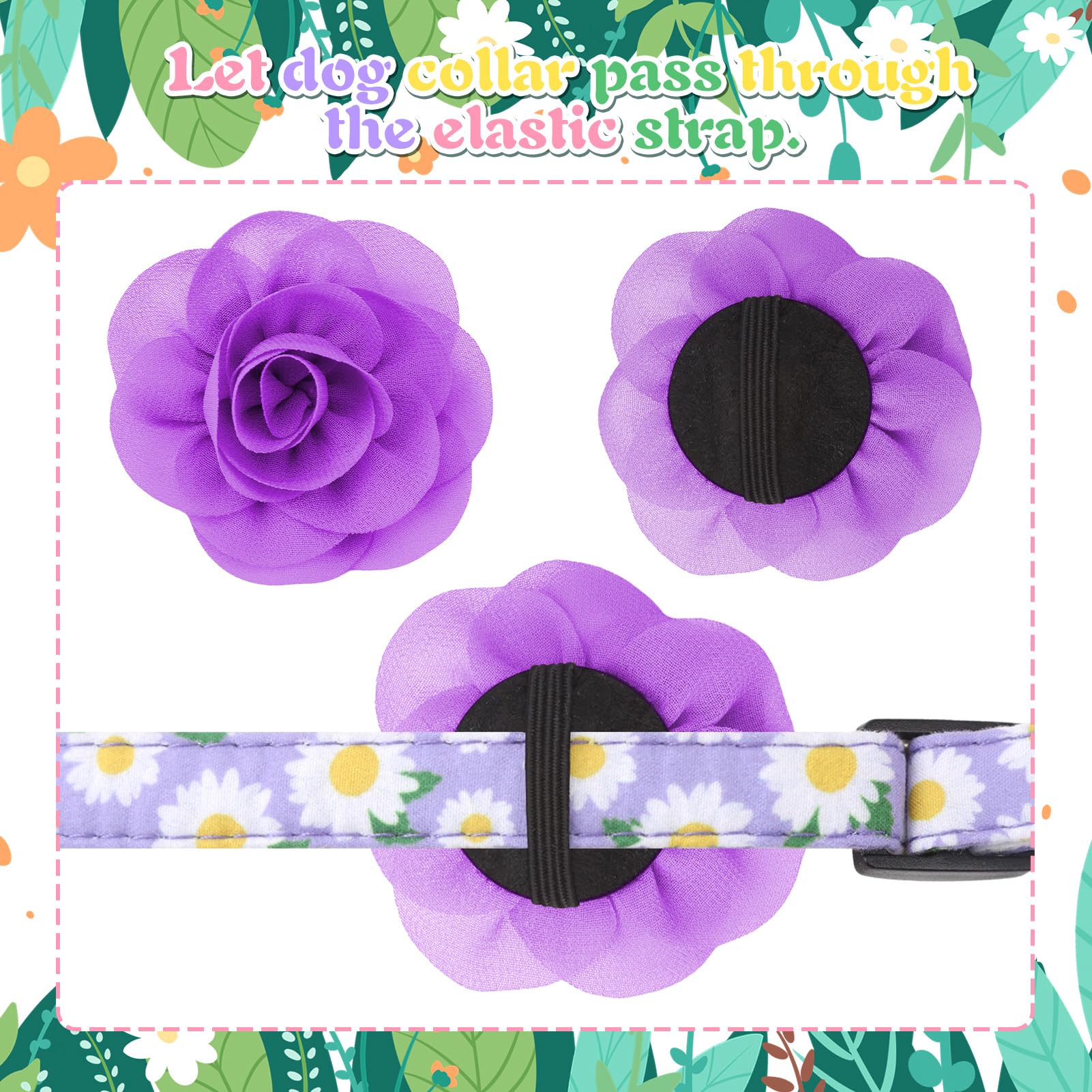 XLSXEXCL color-varieties collar set lets you mix looks for occasions.