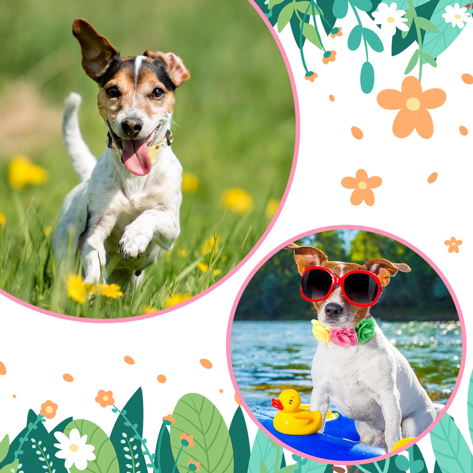 XLSXEXCL packaging-four-collars demonstrates ready-to-wear options in one purchase.