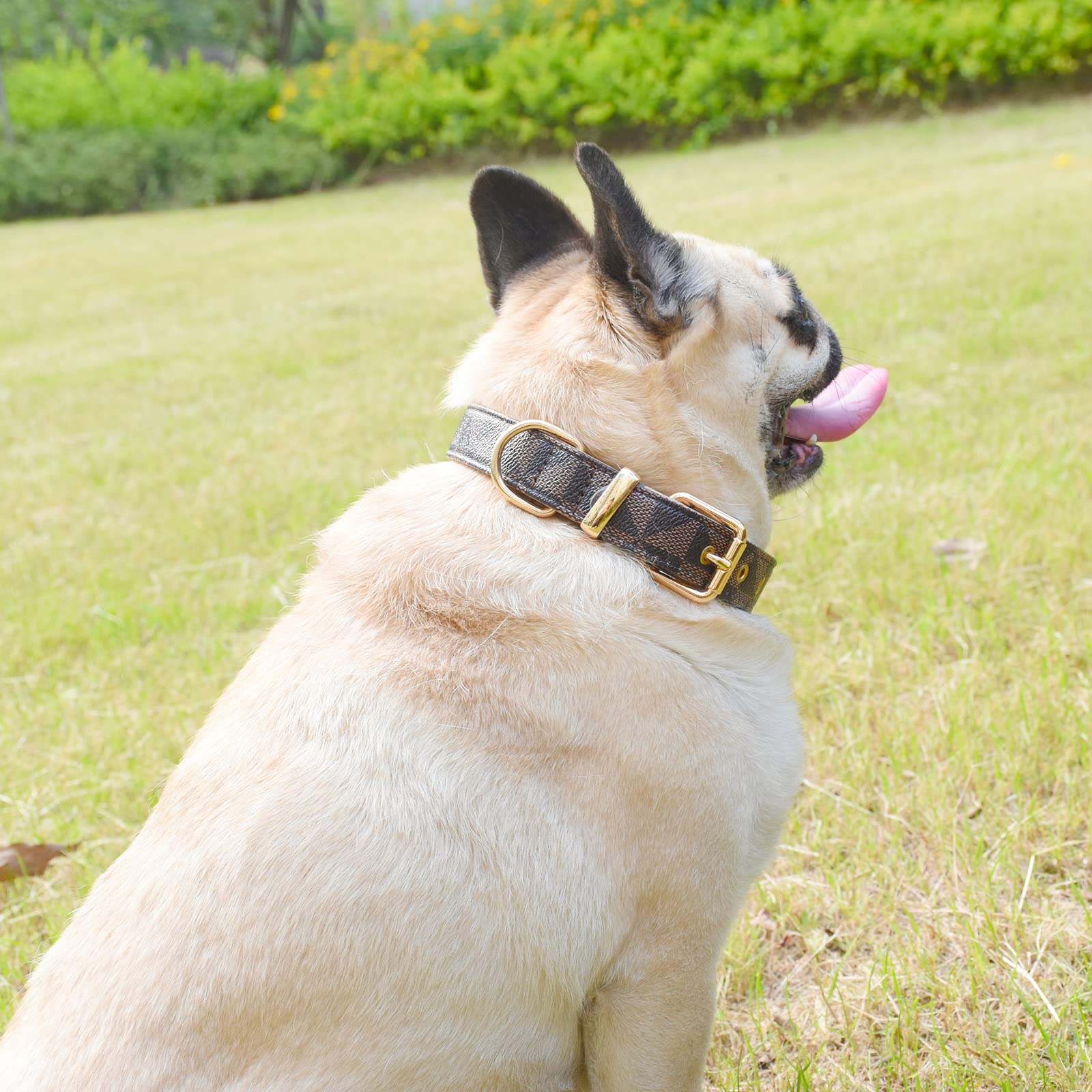 XPangle collar buckle and welded D-ring in brown for lasting strength.