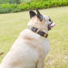 XPangle collar buckle and welded D-ring in brown for lasting strength.