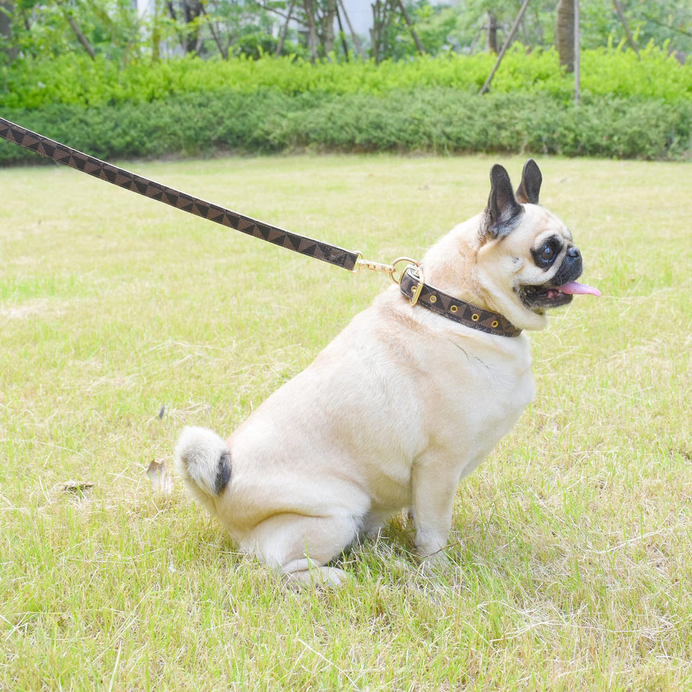 XPangle check-pattern leash in brown for secure handling during walks.
