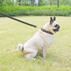 XPangle check-pattern leash in brown for secure handling during walks.