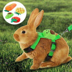 XPAPOV rabbit harness set blue ideal for training and outdoor fun