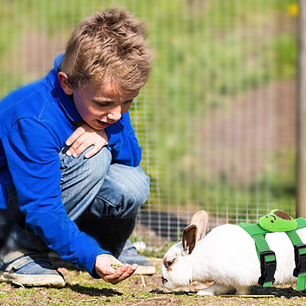 XPAPOV rabbit harness set orange for comfortable strolls with bunnies