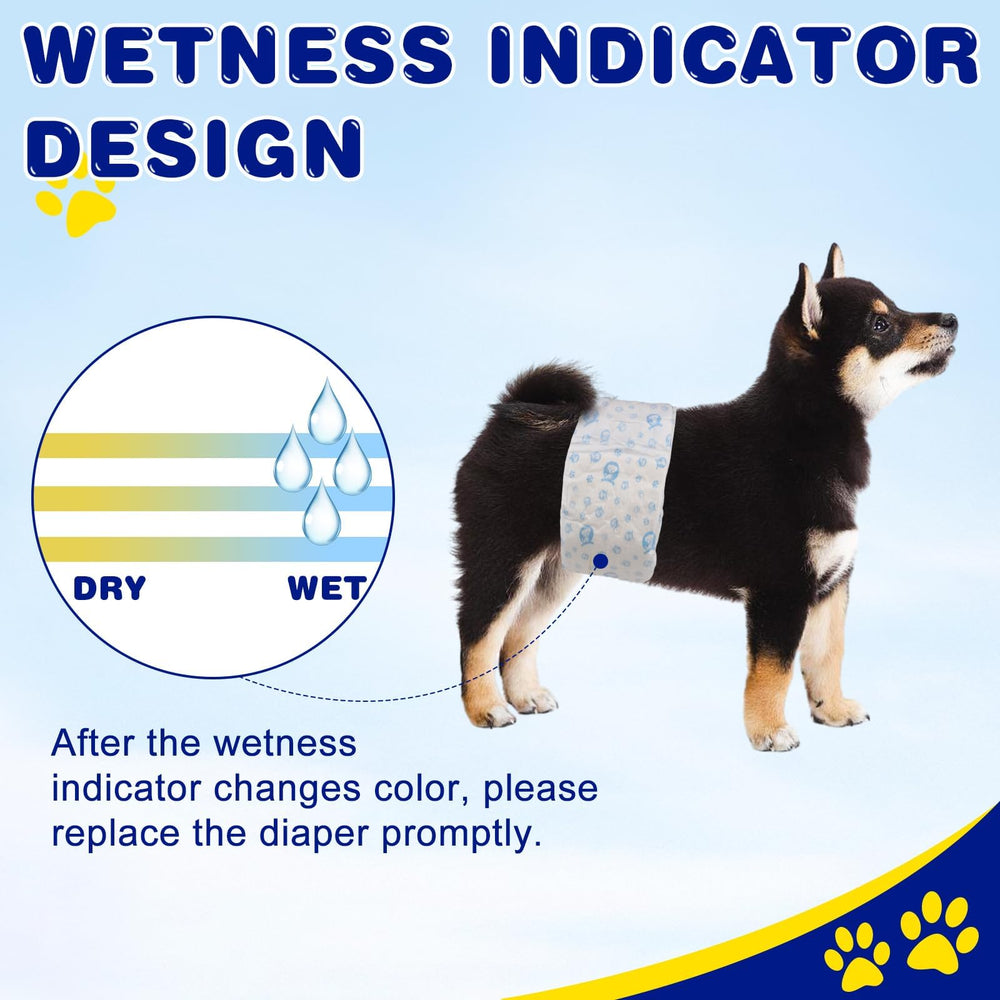 XPCARE medium-fit diapers shown on a dog for a secure, comfortable wear.