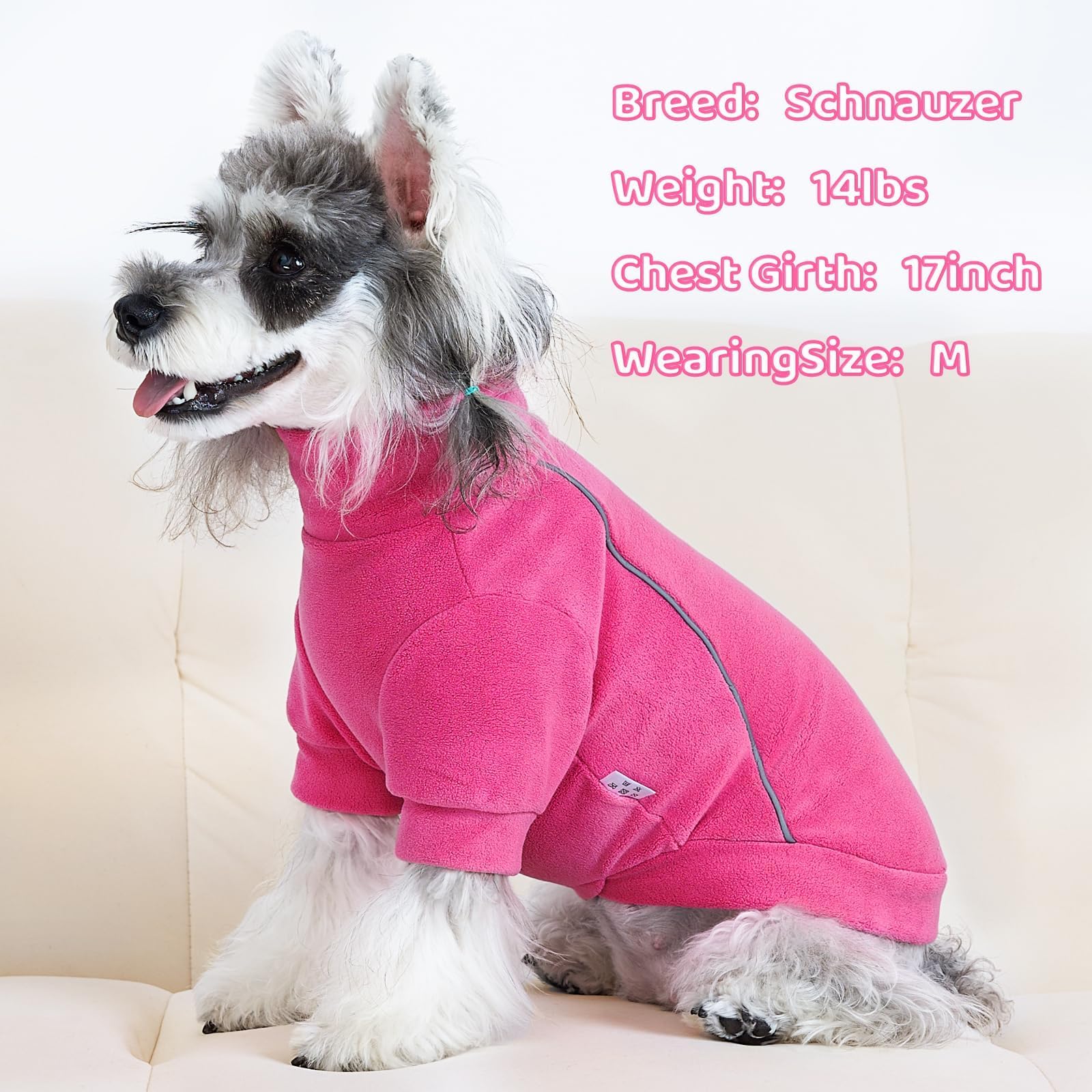XPUDAC dog sweater front purple demonstrates snug pullover fit for warmth.