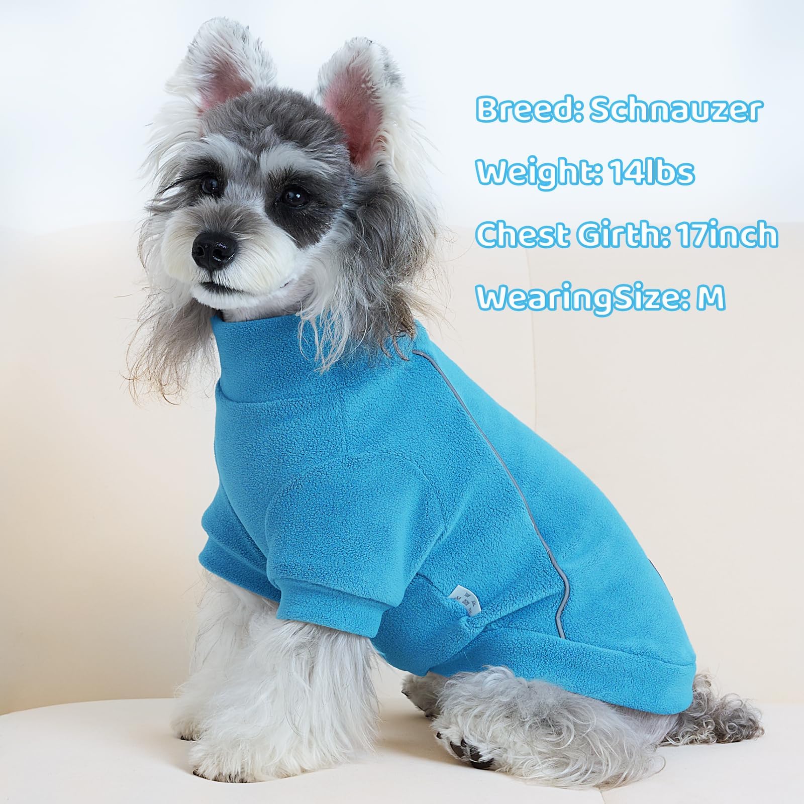 XPUDAC dog sweater navy back view with reflective strips for safer evening walks.