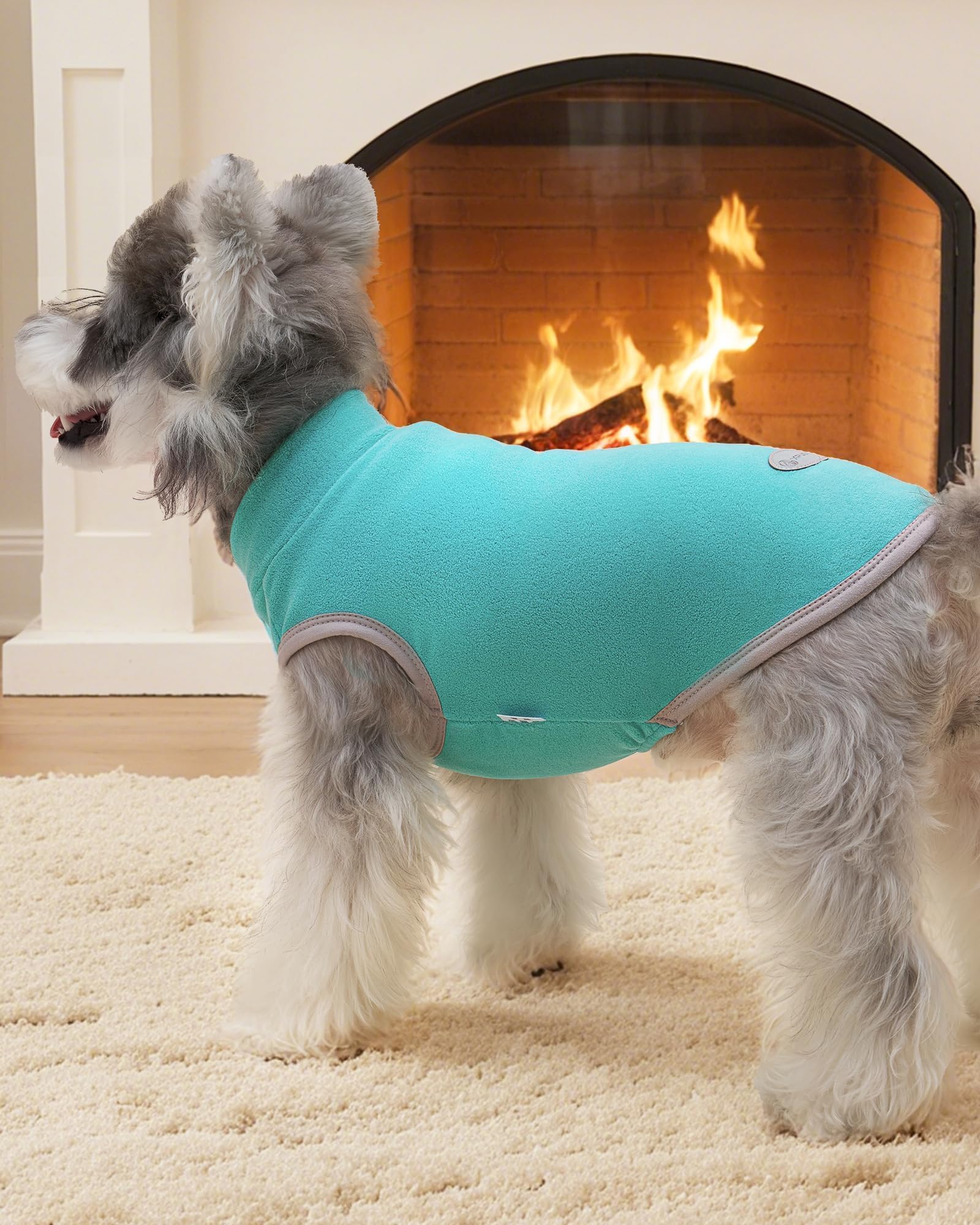 XPUDAC dog sweater winter walk ready for chilly outings.