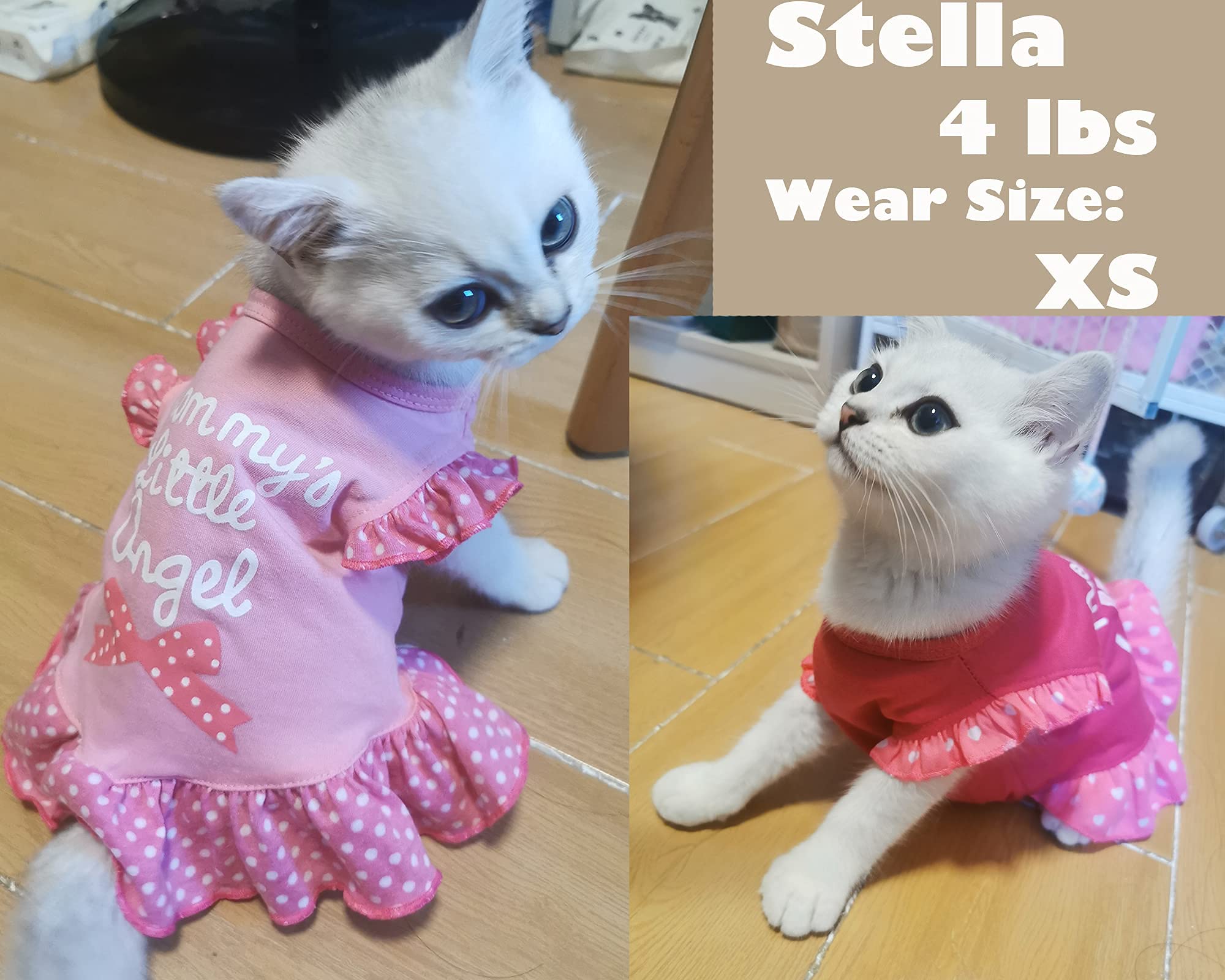 XPUDAC soft-cotton-dress keeps pets comfortable with breathable fabric during outings