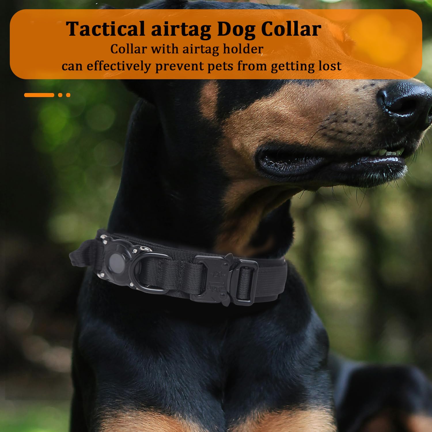 Xqpetlihai 1000D nylon dog collar for large dogs in rugged activities