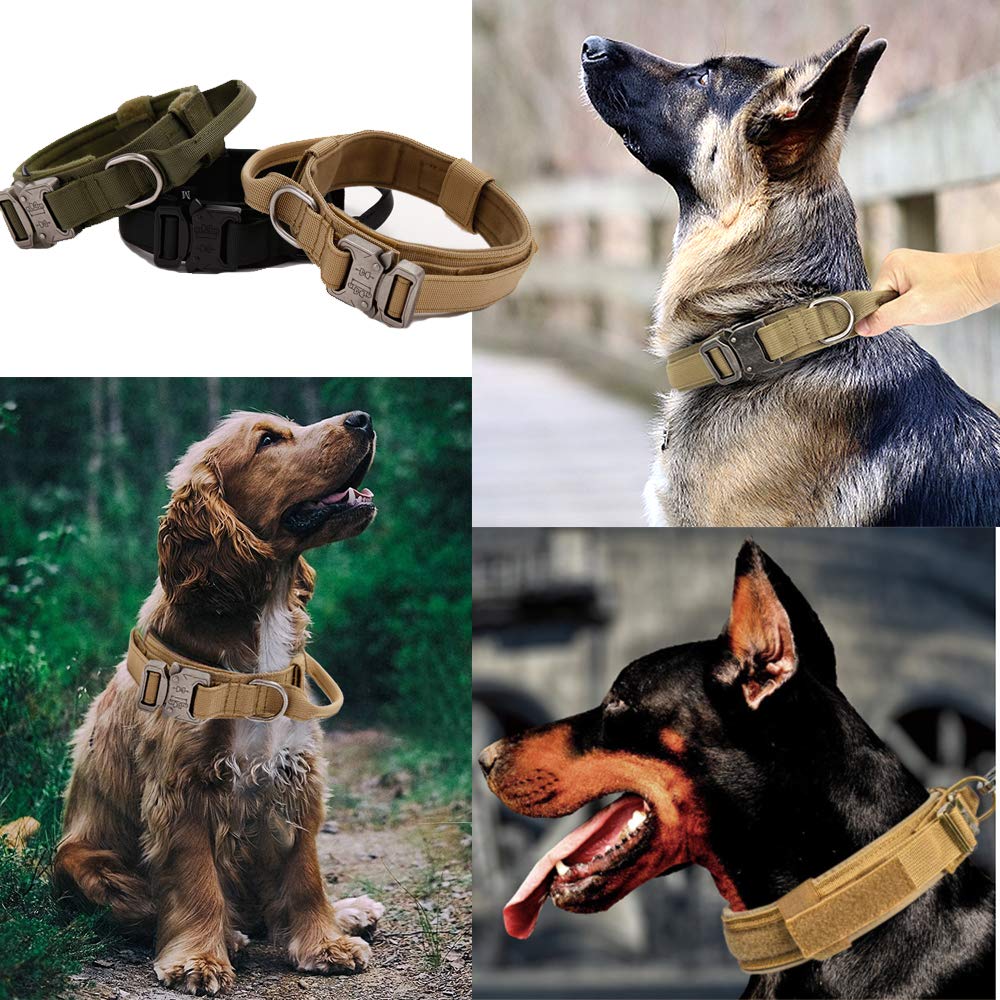 Xqpetlihai size-chart-dog-collar guides choosing the right fit for medium and large dogs
