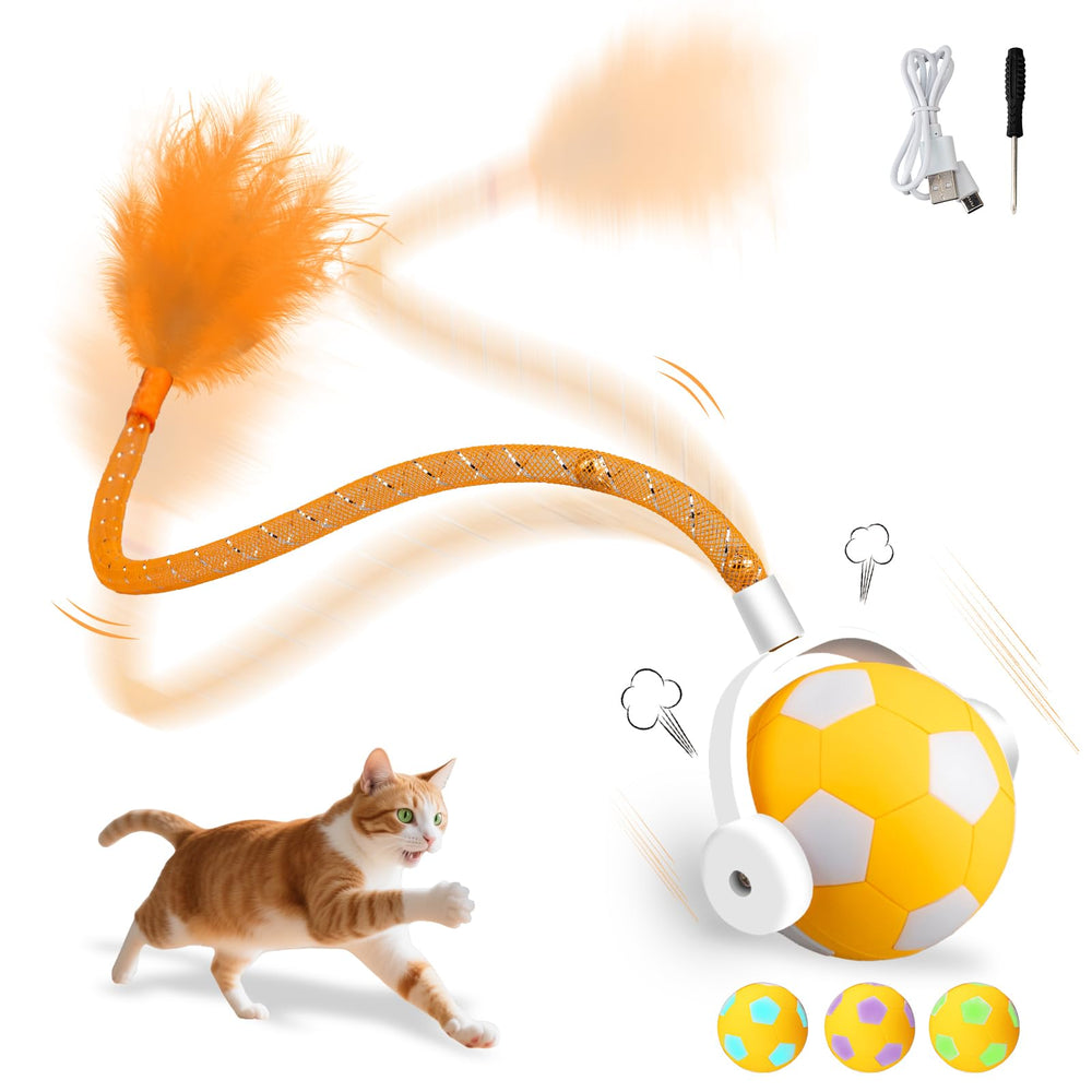 XRG Cat Toy Ball orange front view inviting active play and exploration.