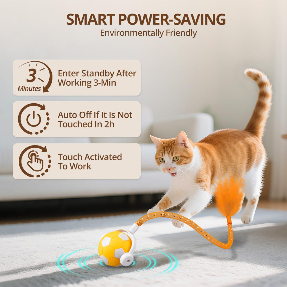 XRG Cat Toy Ball tail accessory with feathers and bells for chase appeal.