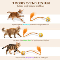 XRG Cat Toy Ball USB Type-C charging setup for quick recharge.