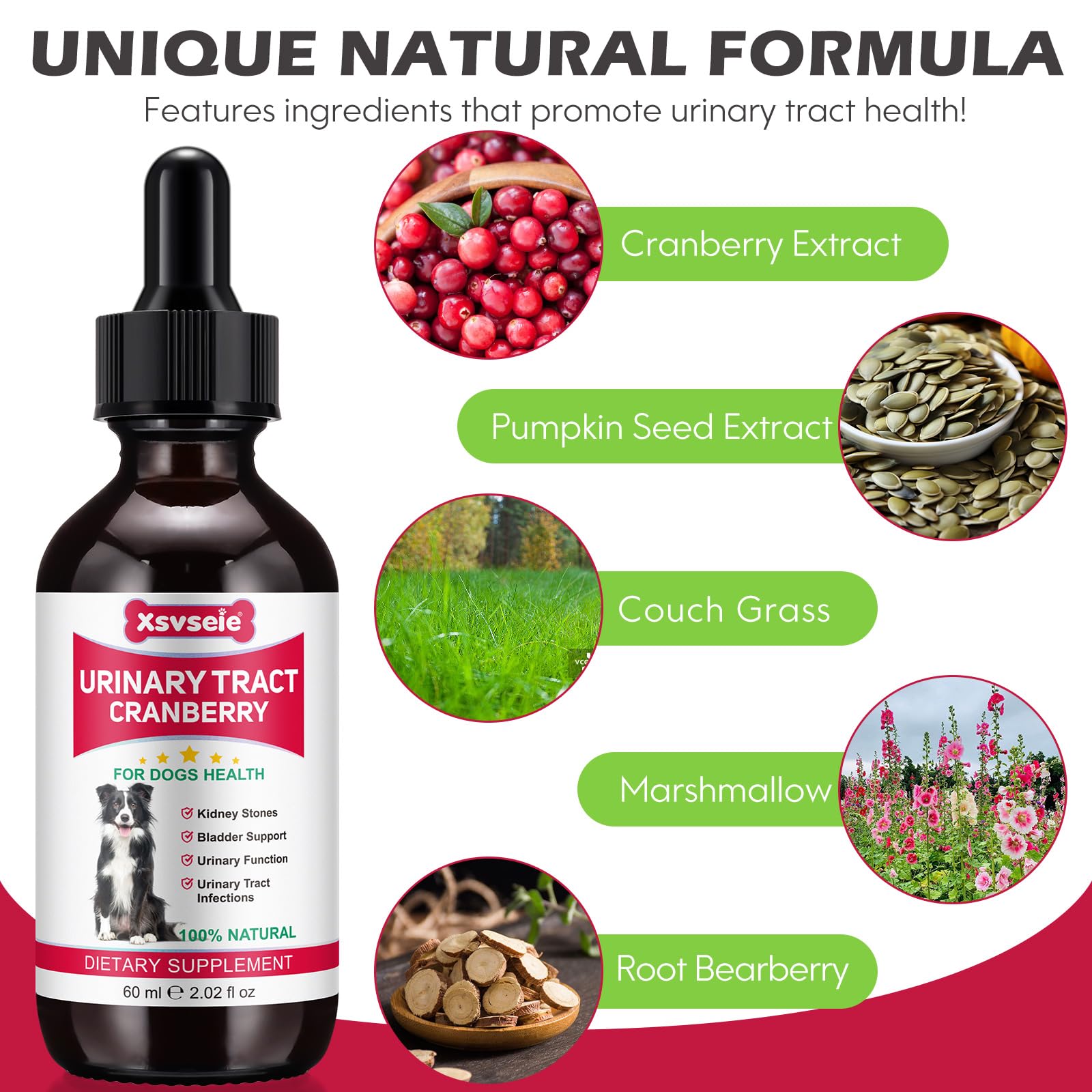 Xsvseie dog uti drops dosing with food shows convenient administration