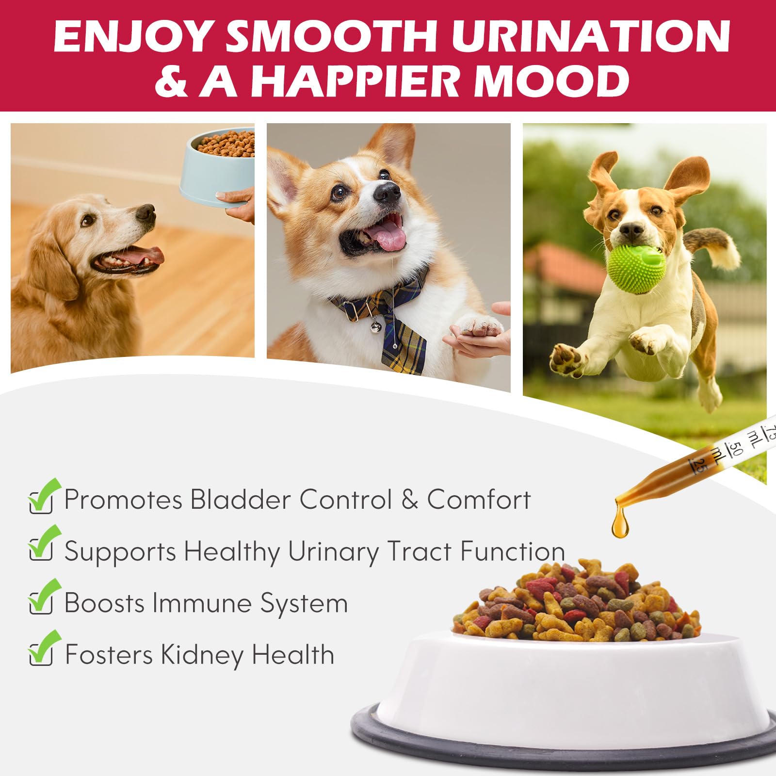 Xsvseie pumpkin-seed ingredient closeup highlights nutrient blend for urinary health