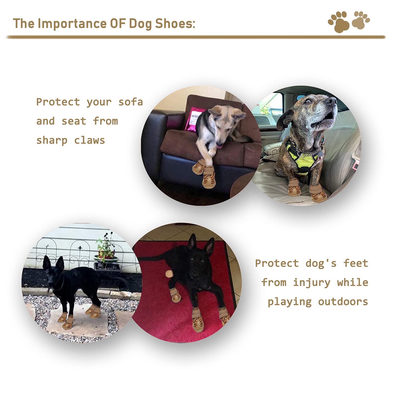 XSY&G dog boots leopard worn on dog during outdoor walk