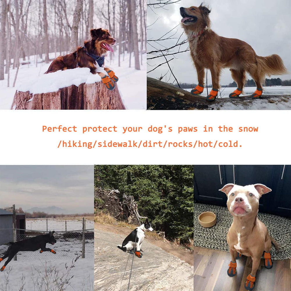 XSY&G dog boots orange four-pack for easy replacement and multi-dog care.