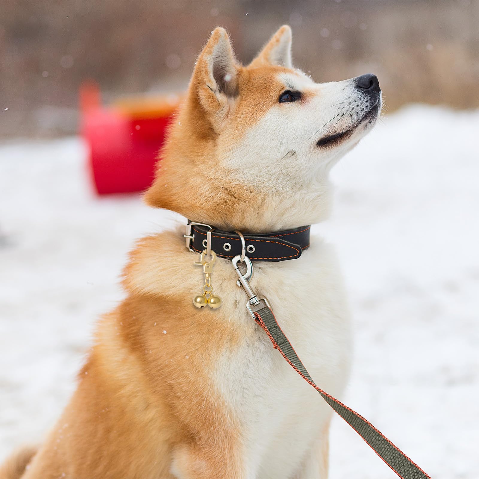 Xthrotsenk pet pendant accessory adds stylish function to collars