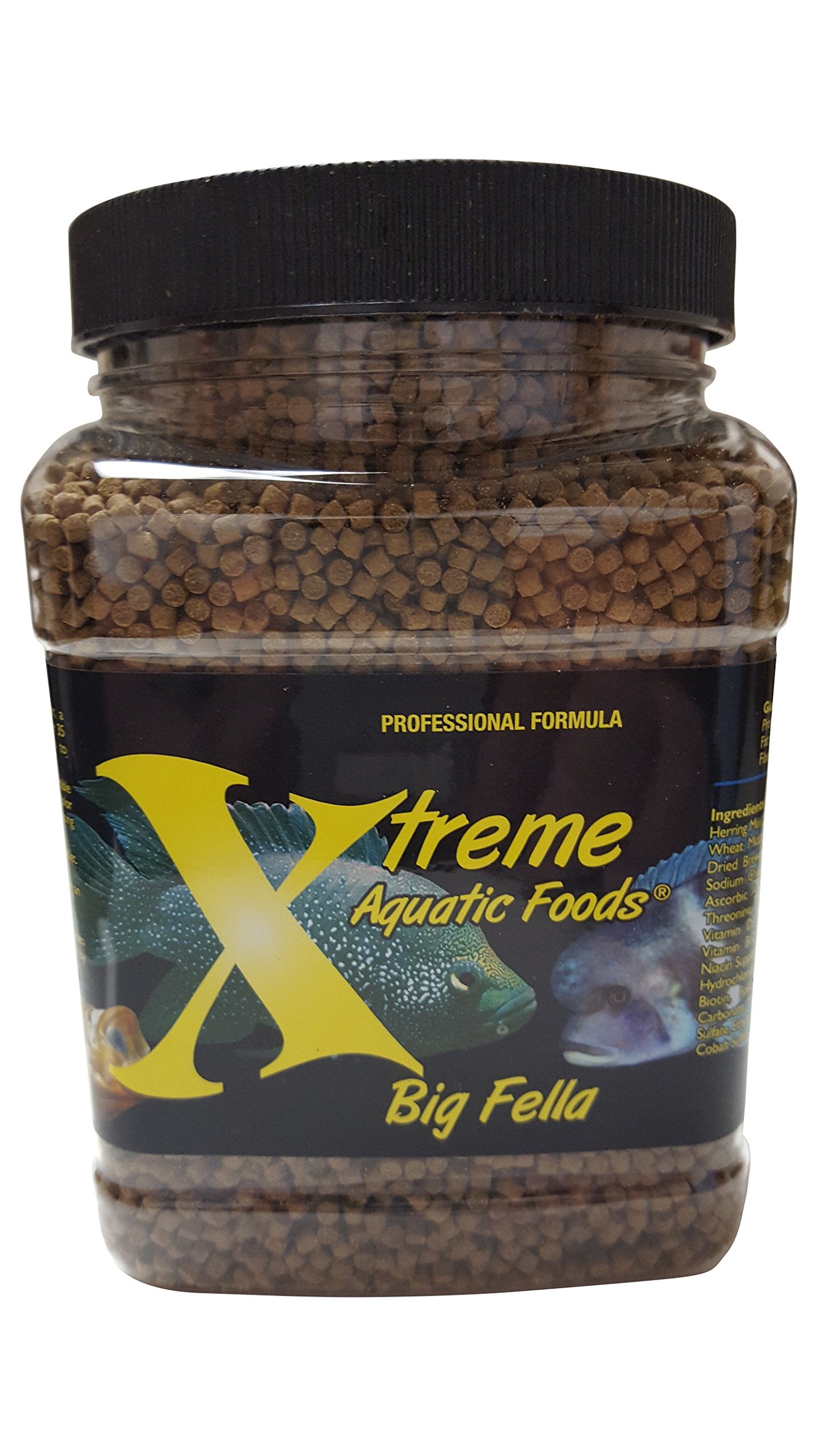 Dish of colored angels and cichlids fed Xtreme Big Fella promotes natural color vibrancy