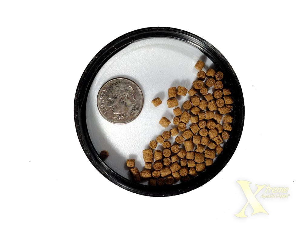 Xtreme Aquatic Foods Big Fella pellets closeup reveals texture and marine protein blend