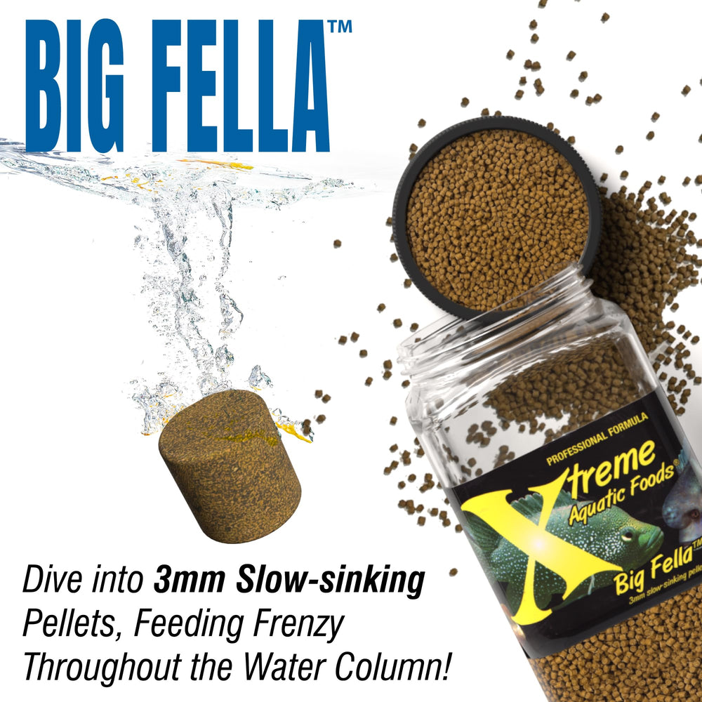 Spirulina from USA farms boosts nutrient density in Xtreme Big Fella