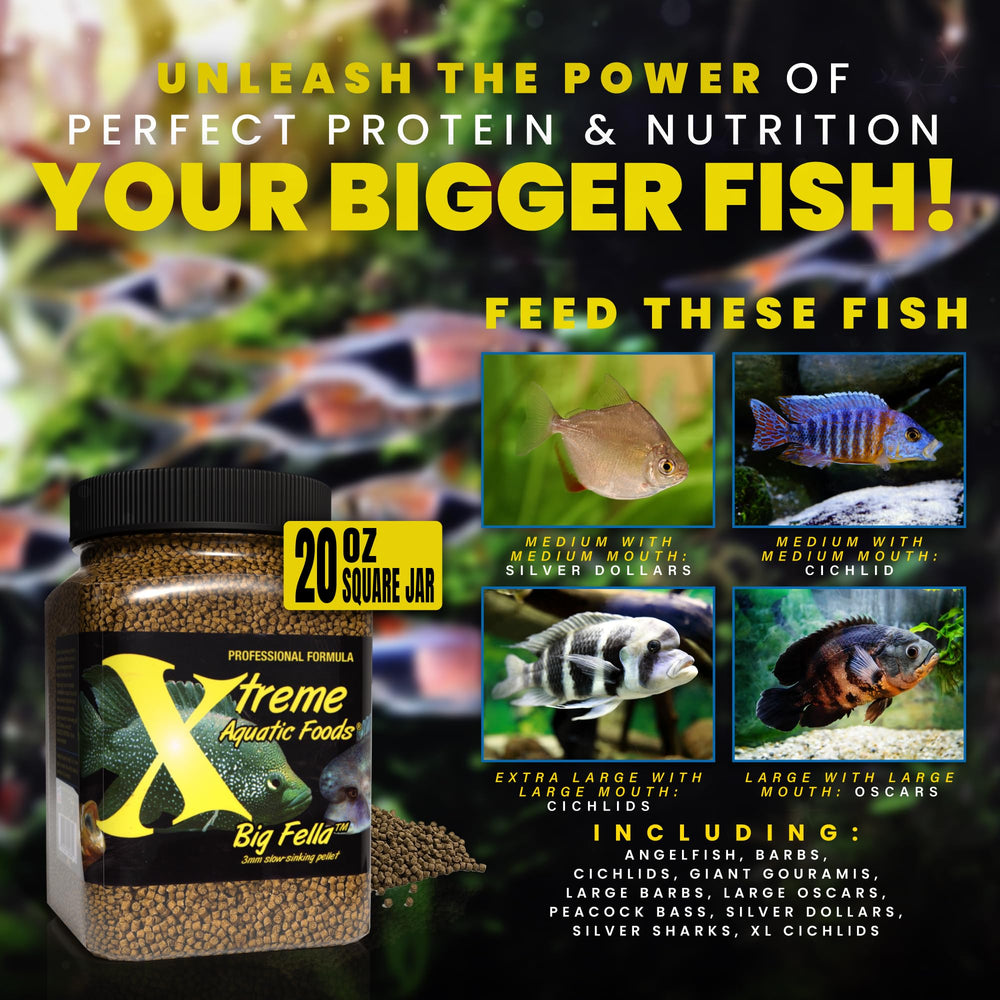 Xtreme Big Fella pellets with squid meal and peas support balanced growth and digestion
