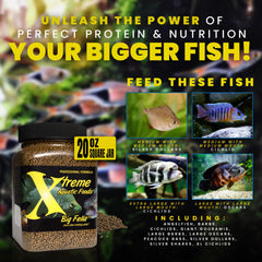 Xtreme Big Fella pellets with squid meal and peas support balanced growth and digestion