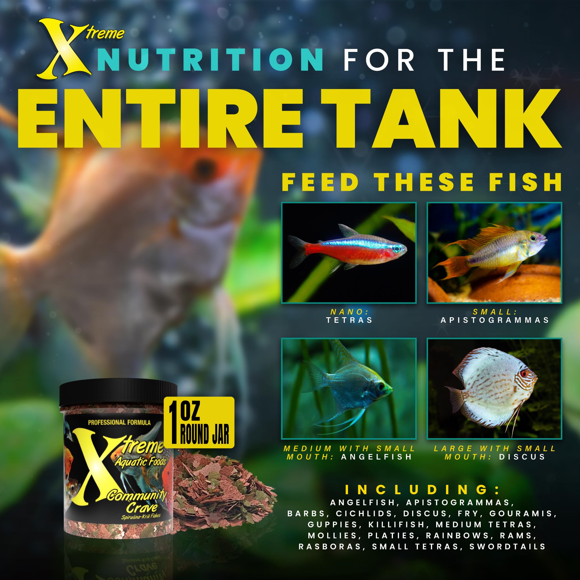 Xtreme Community Crave in a tropical tank showing intensified color