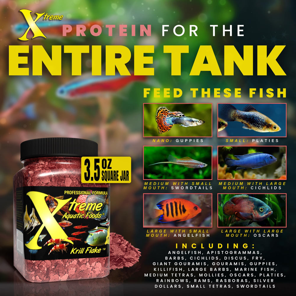 Close-up of Xtreme Aquatic Foods Krill Flakes reveals crisp flakes designed for easy digestion.