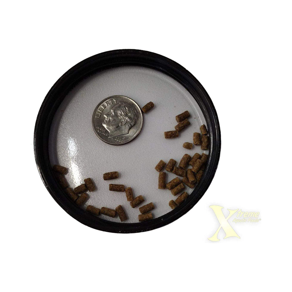 Xtreme Shrimpee sticks underwater showing shape retention for feeding