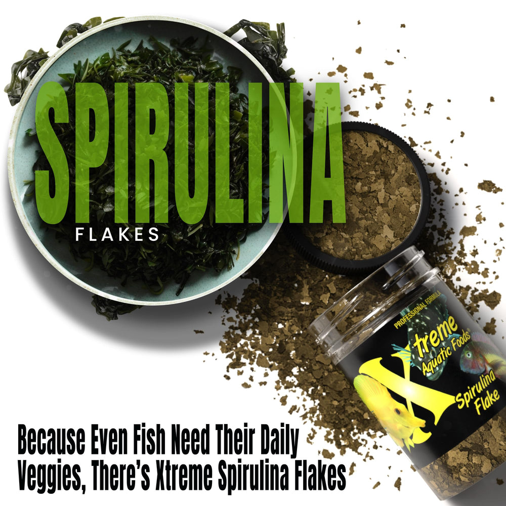 Xtreme Aquatic Foods Spirulina Flakes color boost visible under aquarium lighting.