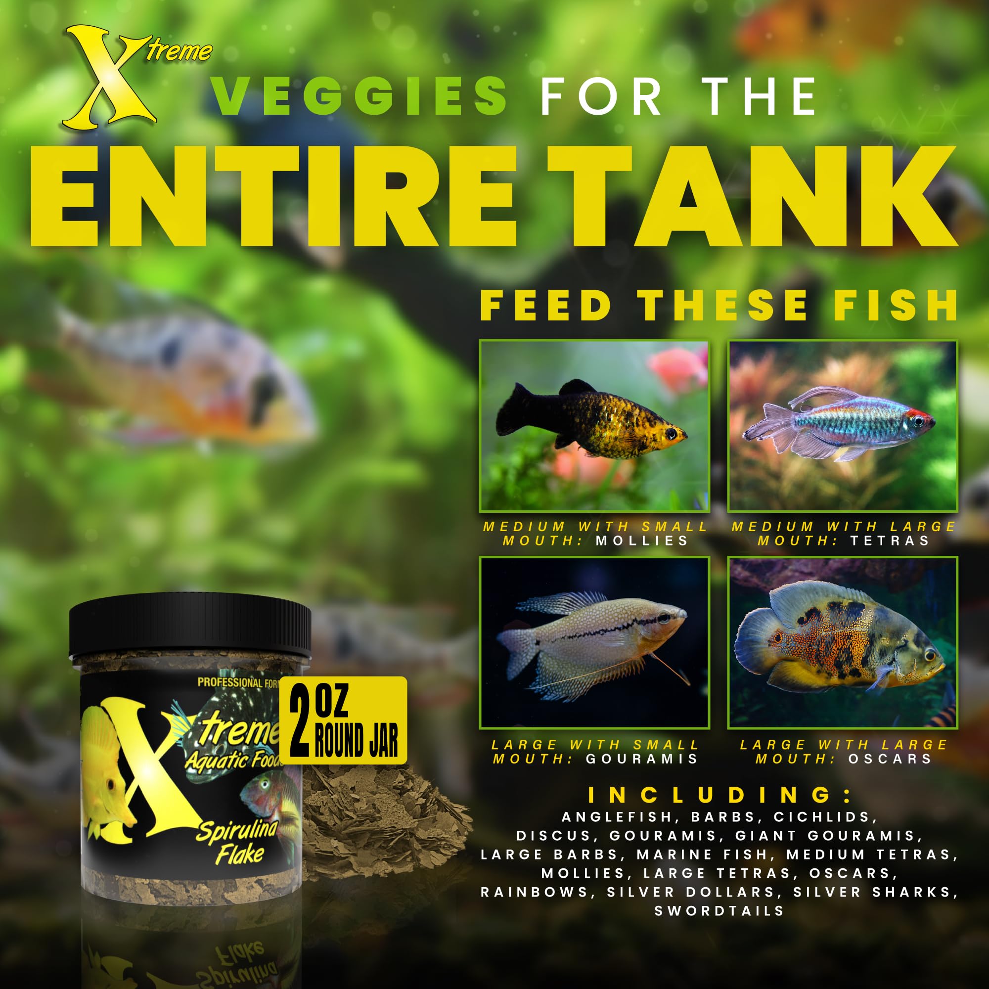 Xtreme Aquatic Foods Spirulina Flakes tropical tank mealtime demonstrates vibrant color enhancement.