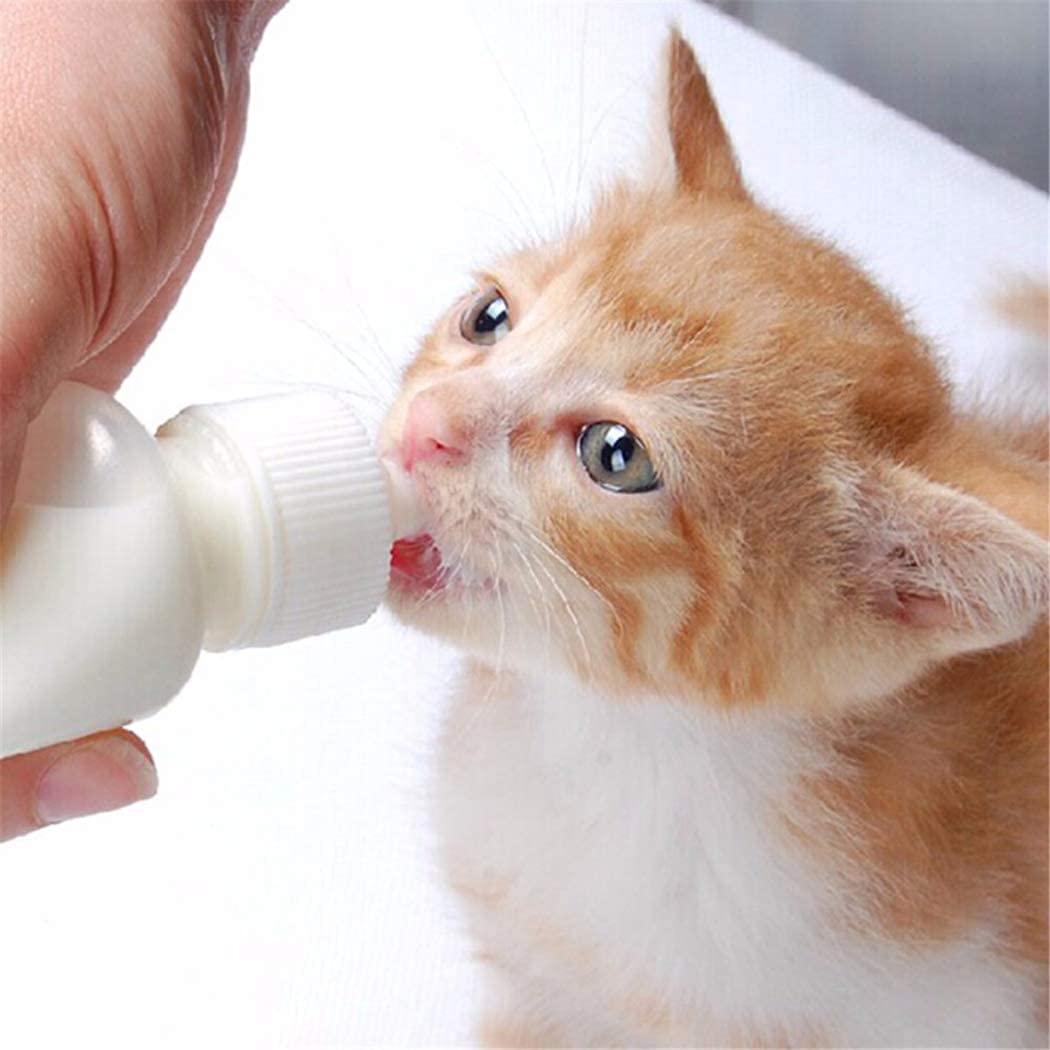 Xuanda pet feeding nipples mini; two sizes for different ages and small animals.