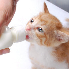 Xuanda pet feeding nipples mini; two sizes for different ages and small animals.