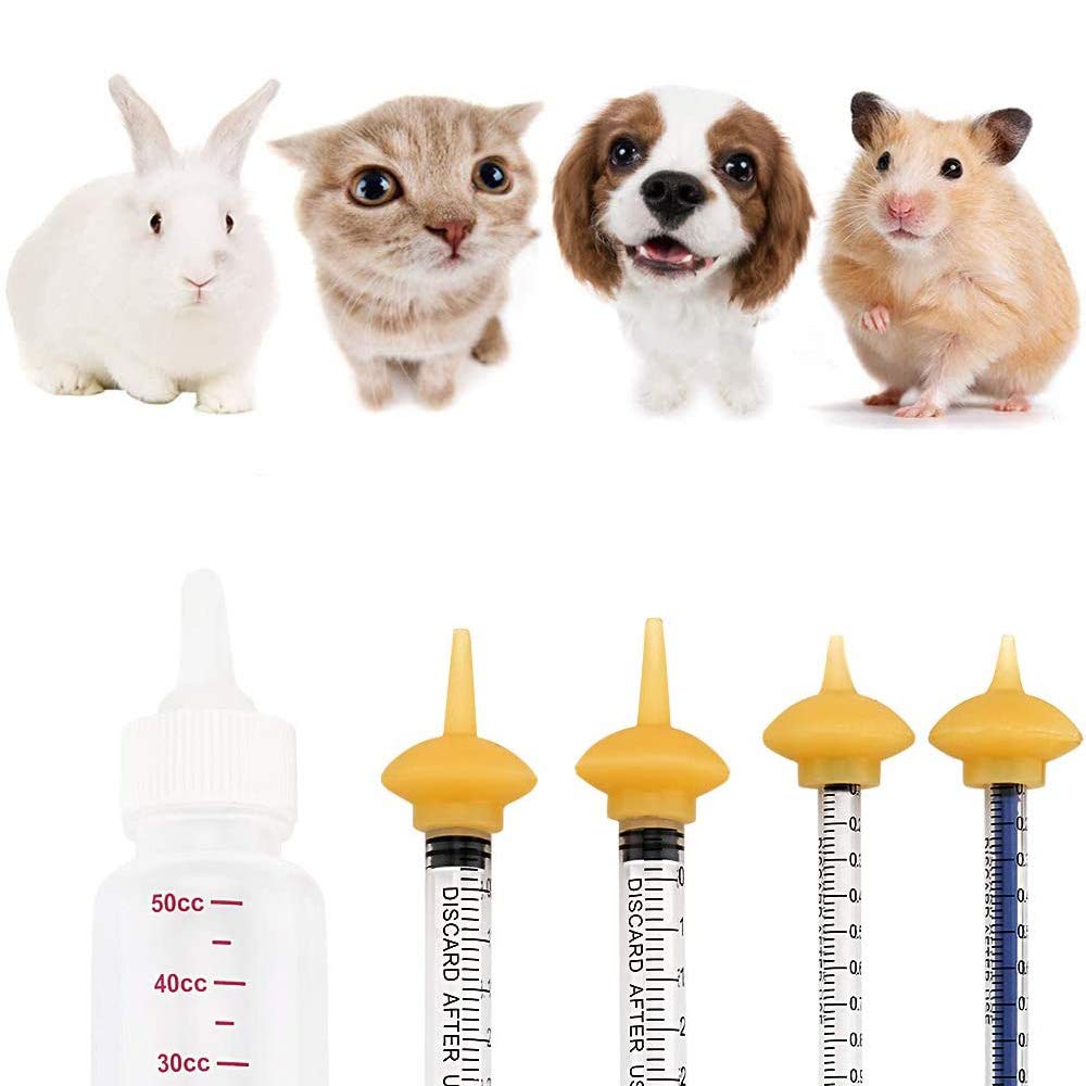 Xuanda syringes 3ml; enables controlled portion feeding with clear measurement cues.