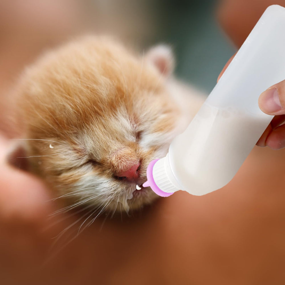 Xuandea newborn-pet feeding setup promotes calm, reliable nightly nursing sessions.