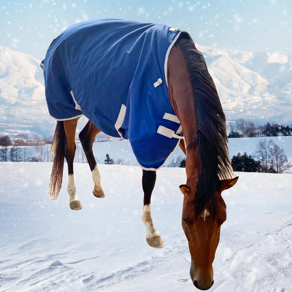 XUANNIAO deep blue turnout blanket ready for winter paddock use
