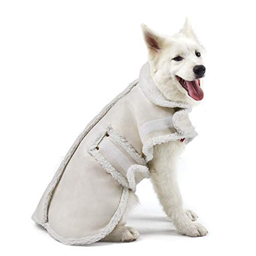 Xuanqifc dog winter jacket back view for chilly outdoor walks with warm protection