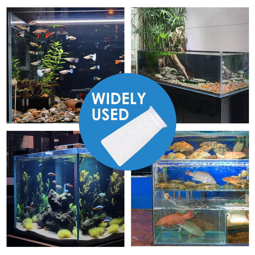 XUANZIKEMAO crystal-clear-water scene shows healthier tank aesthetics with efficient filtration.