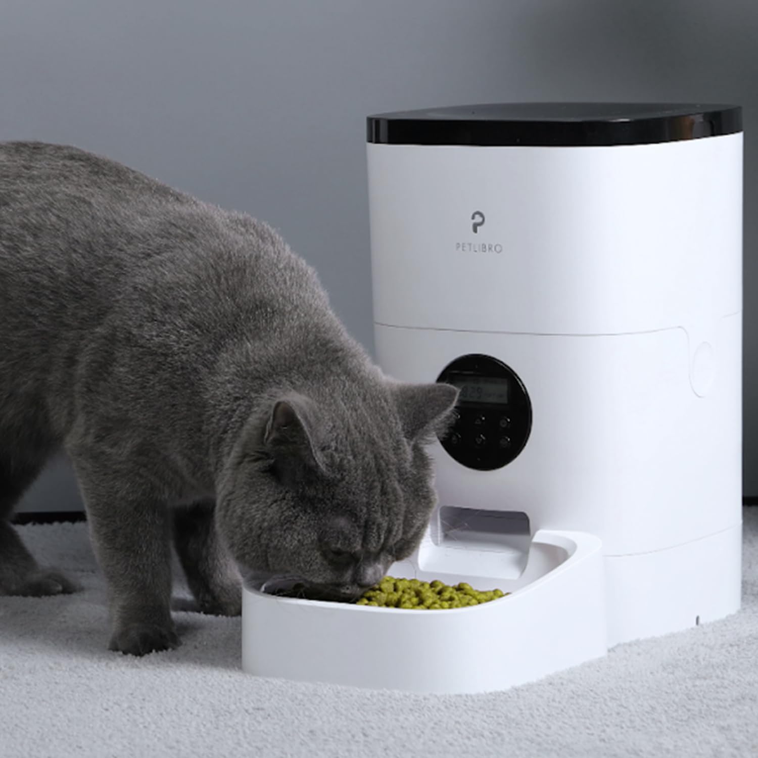 Xuepett unopened desiccant bag demonstrates long-term storage readiness.