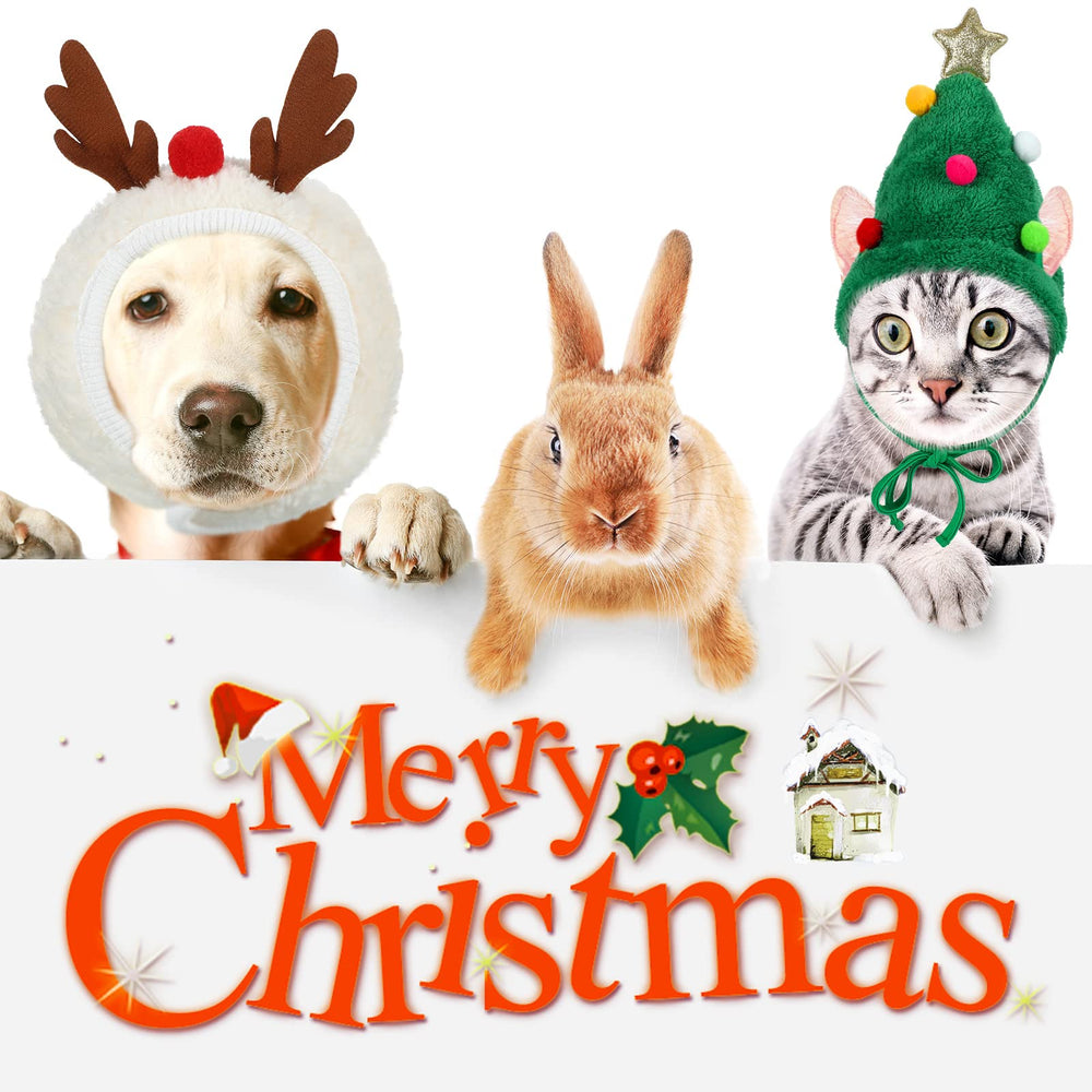 Xuniea adjustable pet hat fits different small breeds for comfy wear.