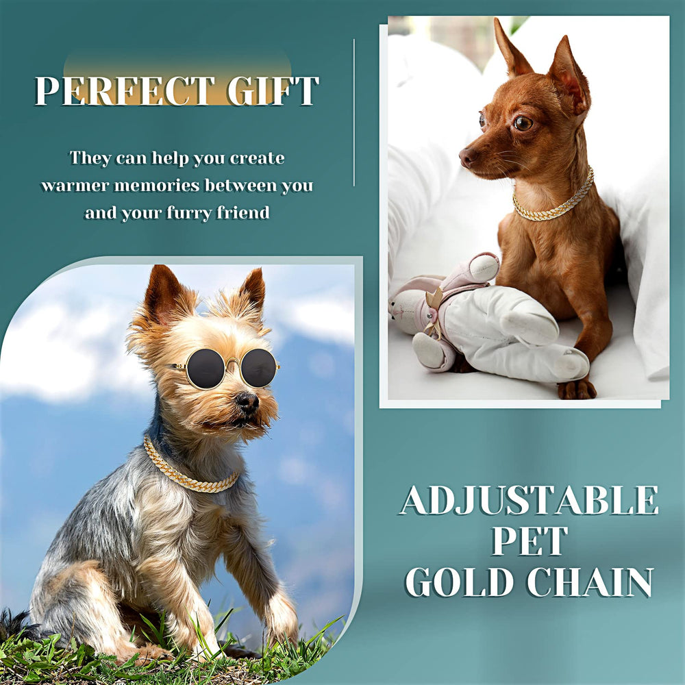 Xuniea birthday gift pet accessories for celebrations